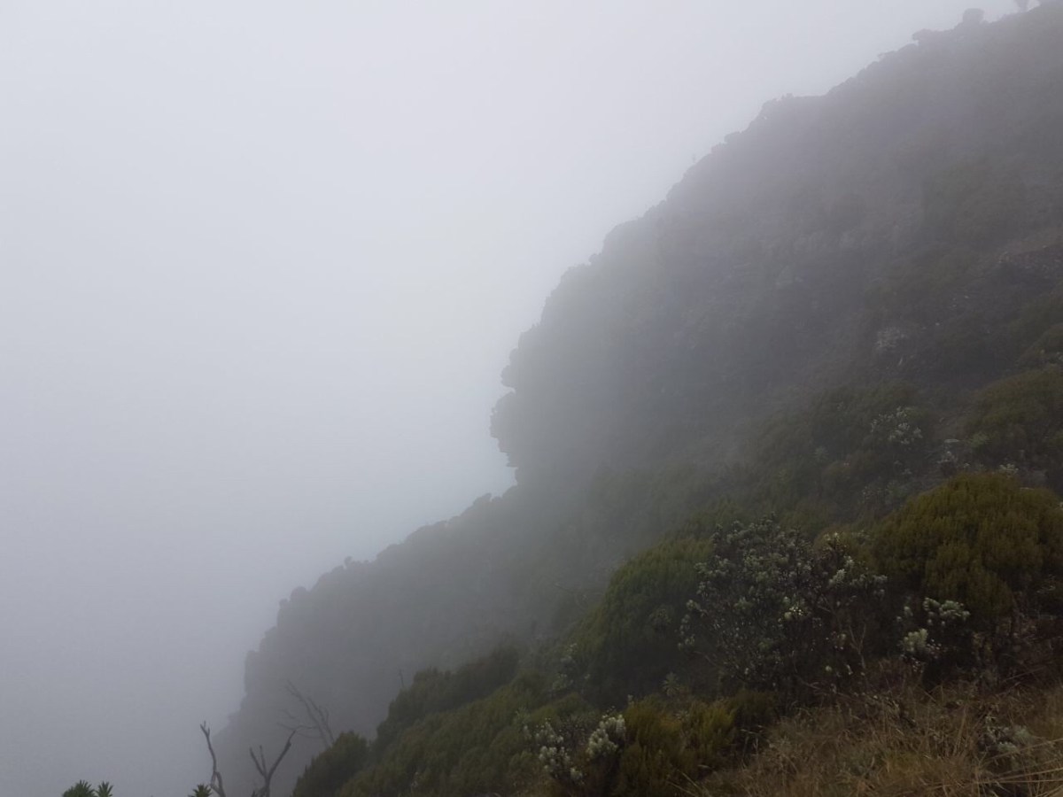 2a3739ac-6119-46df-9f18-fb0aac9a32e9