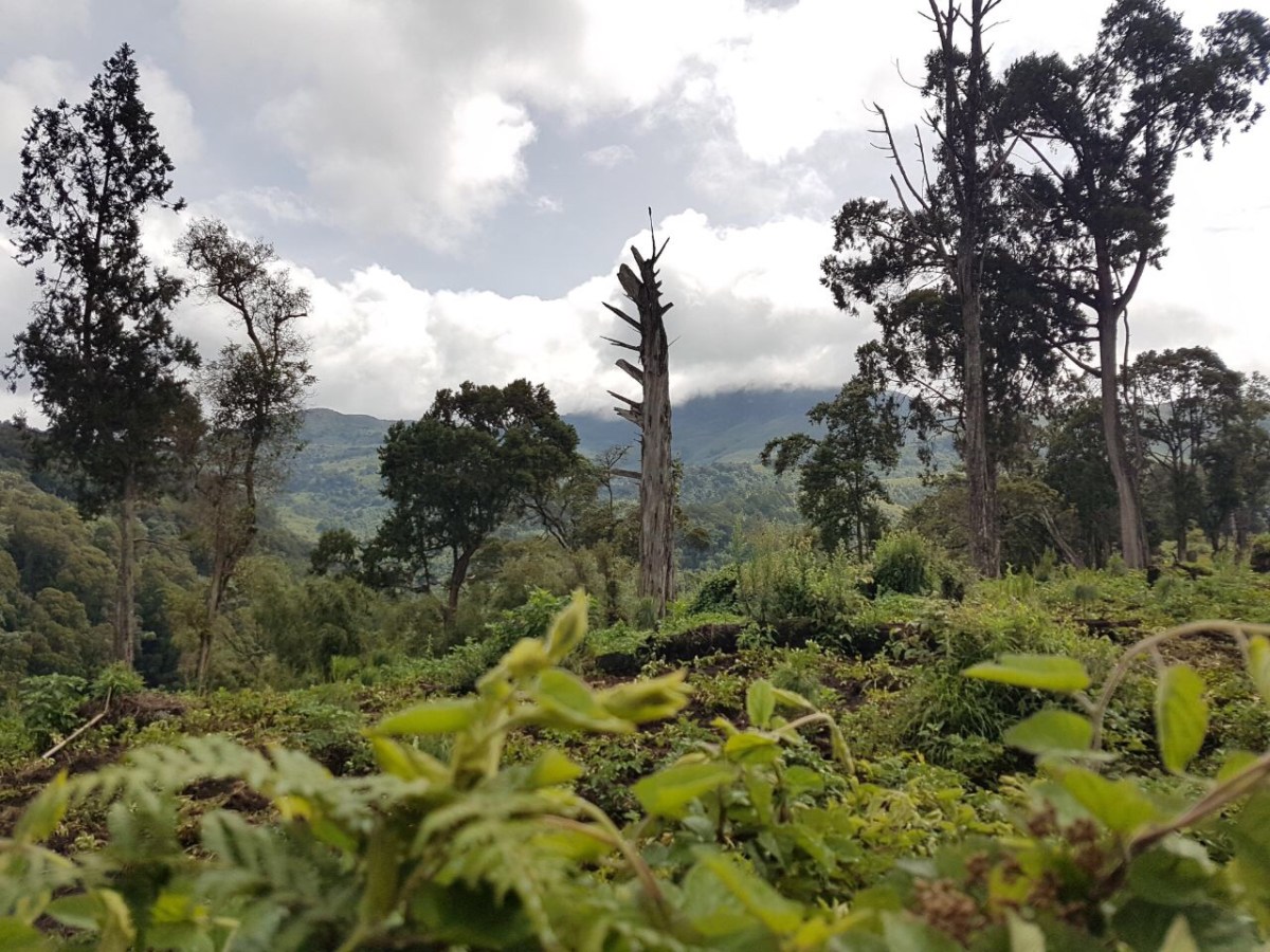 6a83b5d0-2842-42e7-b78f-3b57496b4d60