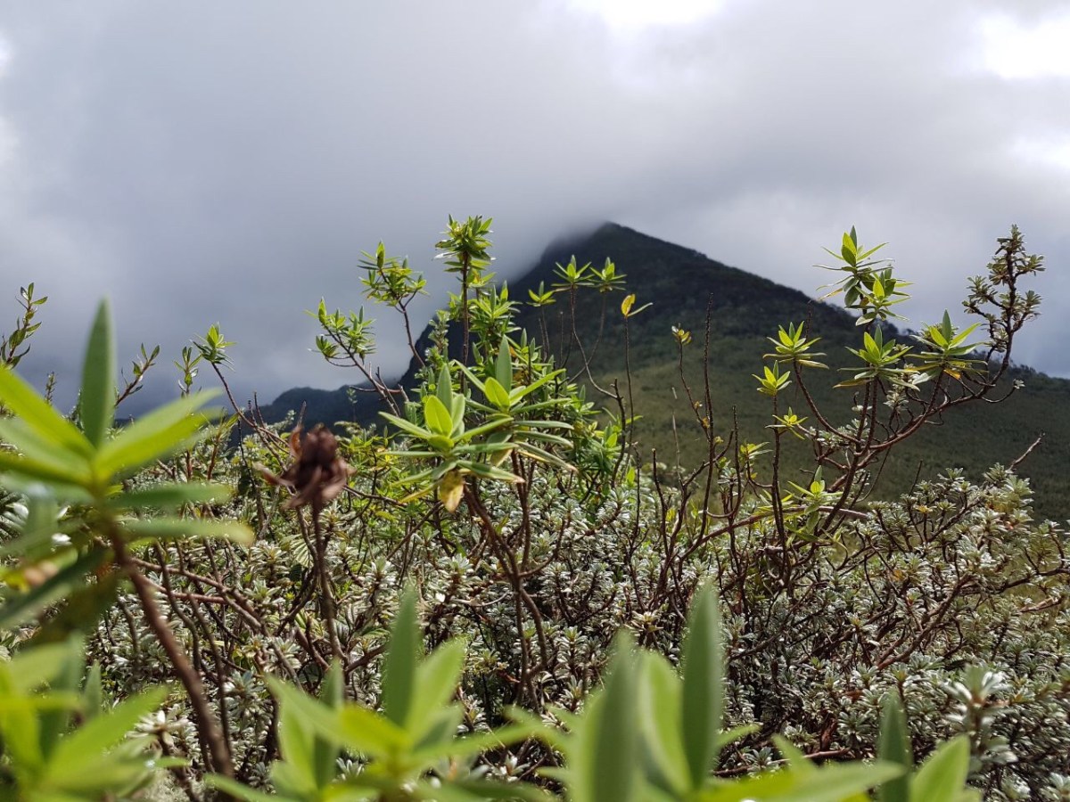 9e4d812d-fc7e-4b15-97cb-a164ae031e46