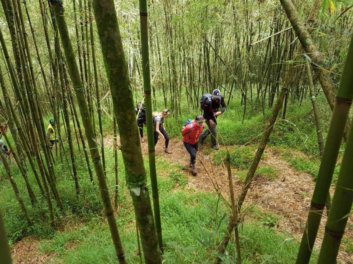 cb279425-79ab-464a-a006-98bc349dccab