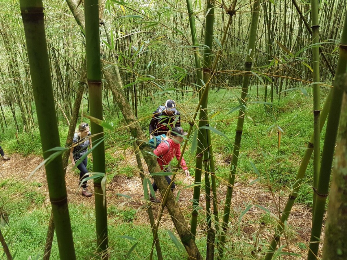 fcfb1a21-359d-458e-811a-56255dfa0545