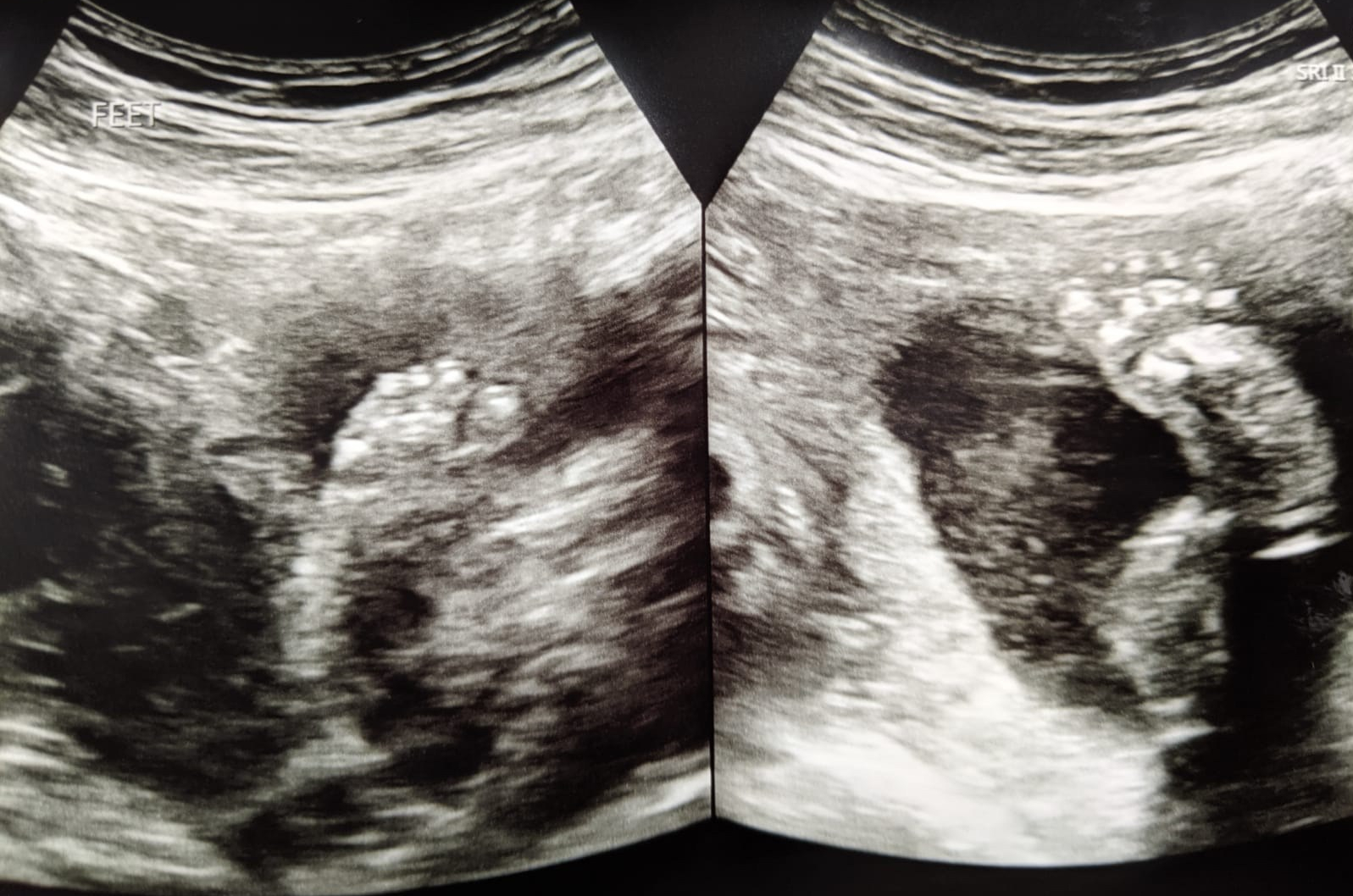 7f49e5ba-164b-4300-abb2-b265787f0ba5