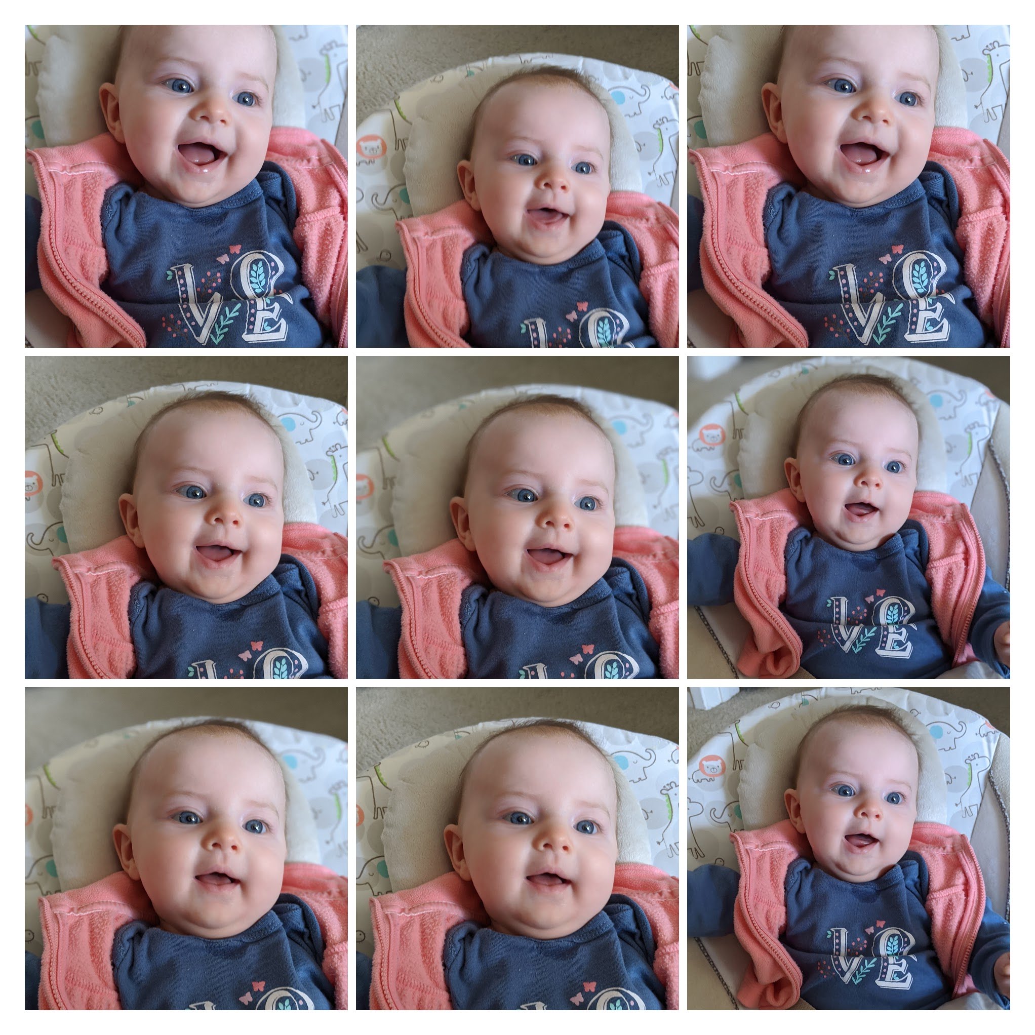 00000PORTRAIT_00000_BURST20200326160624666-COLLAGE