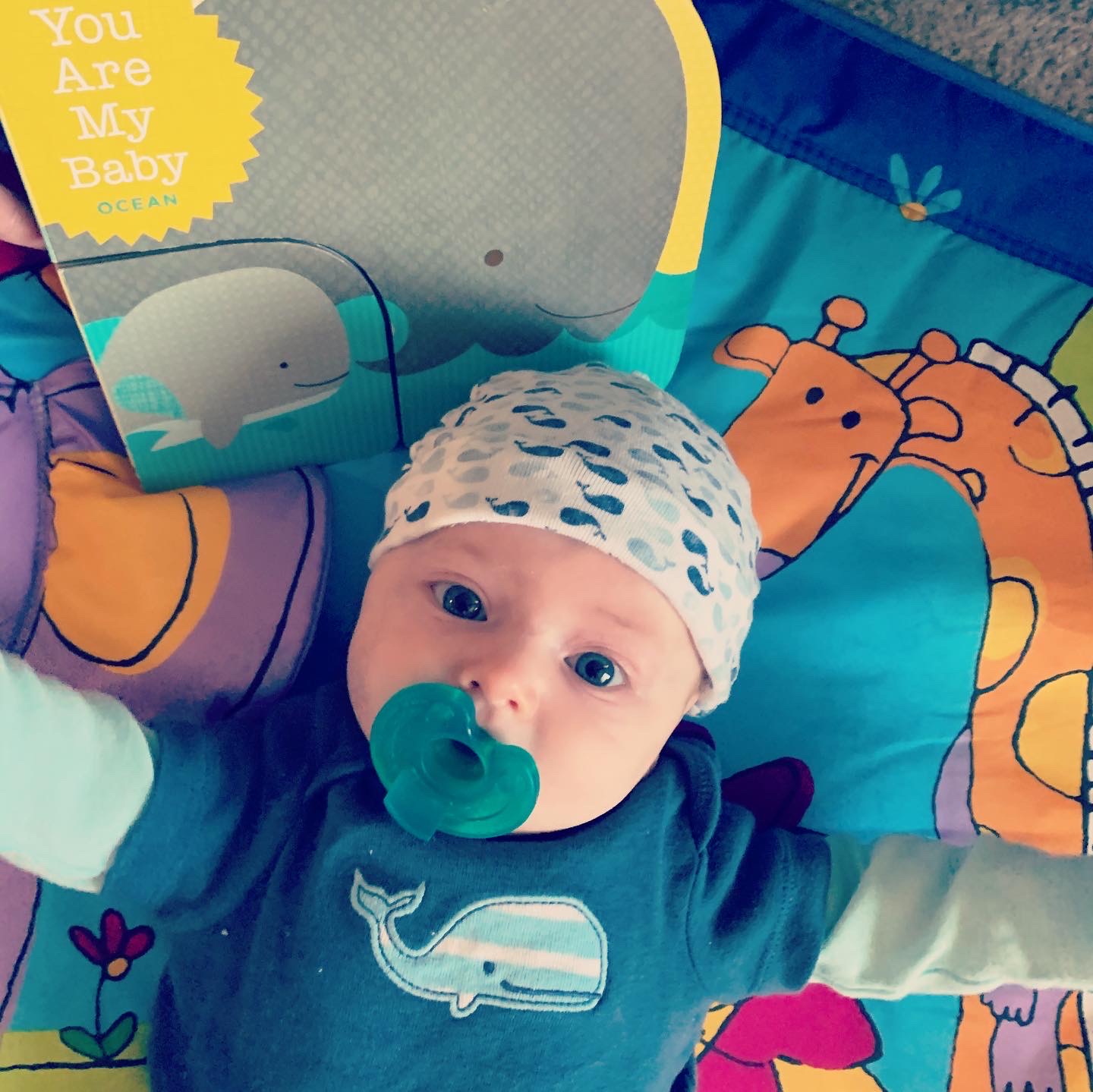 8E393530-6C7C-4AA3-A9FC-C03F19E63B03