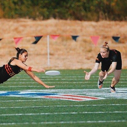 Blackbird double layouts