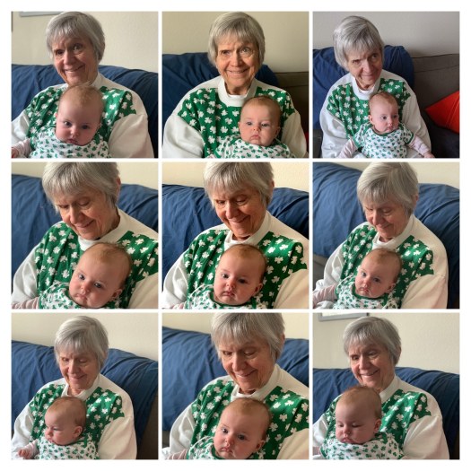 IMG_0317-COLLAGE